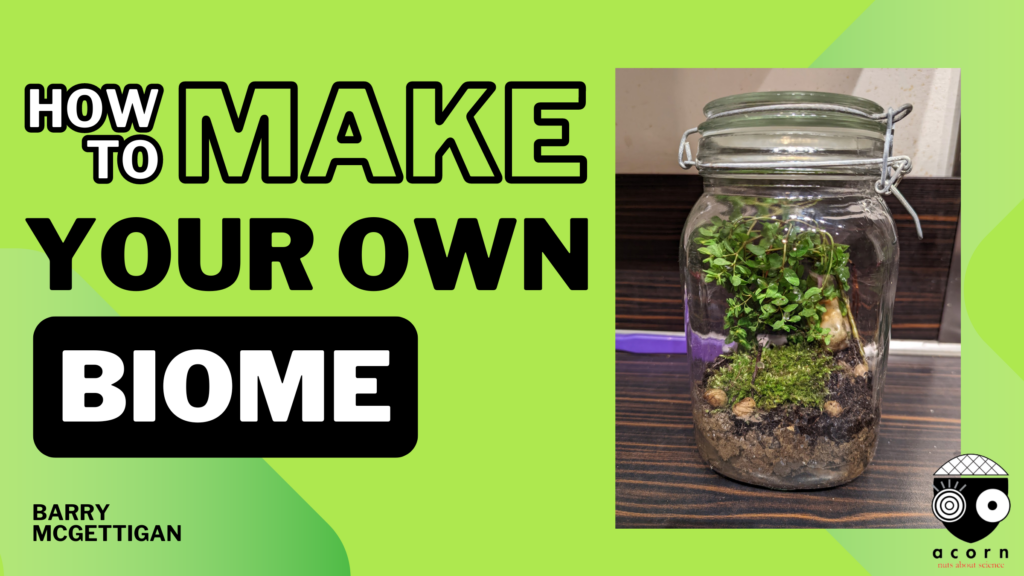 Make Your Own Bottle Biome