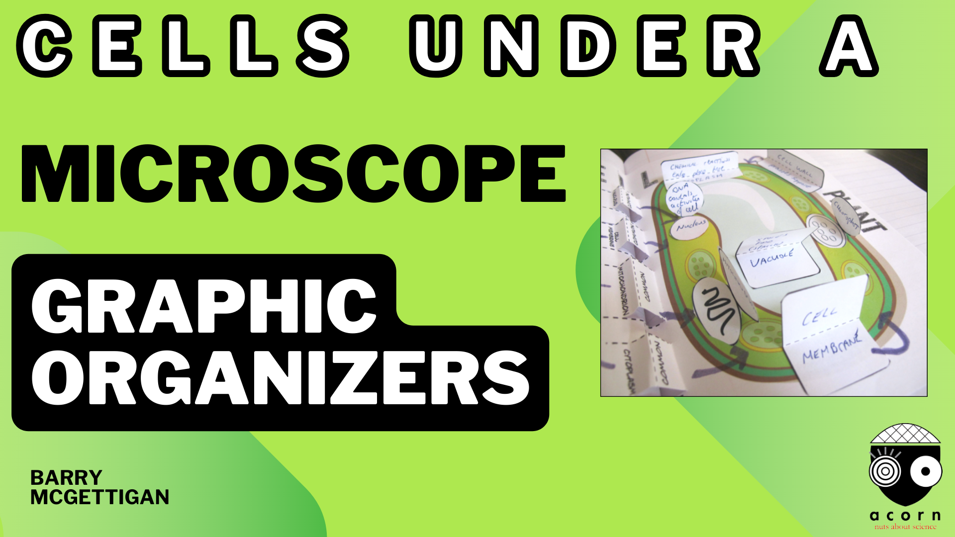 cells under a microscope