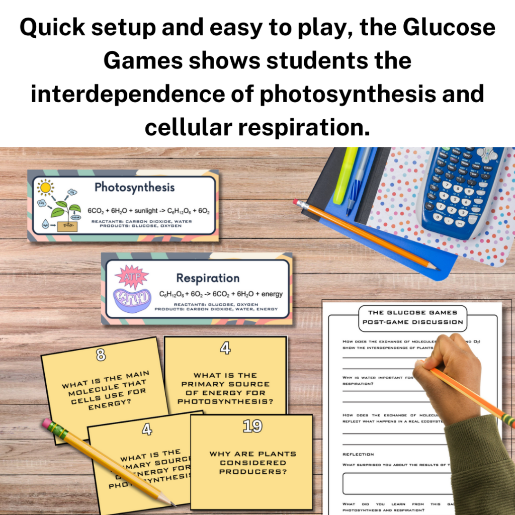 photo showing students playing a review game of photosynthesis and respiration
