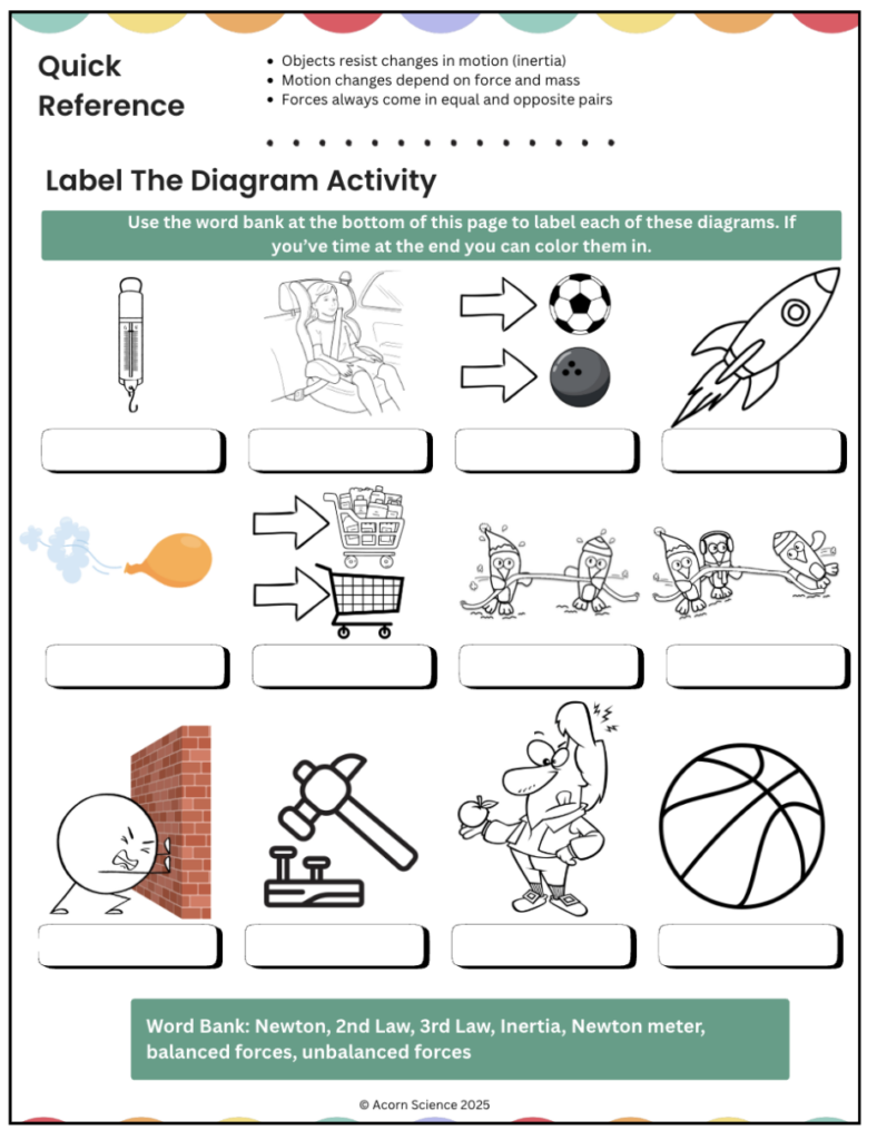 worksheet diagram labeling