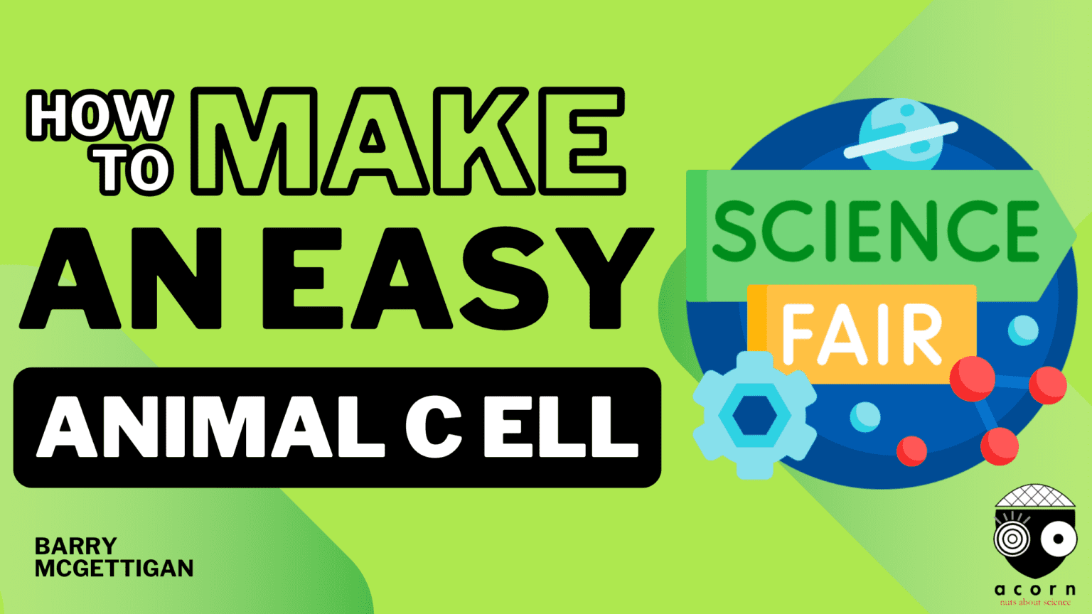 Animal Cell Model -Easy Science Projects for Science Fair - Acorn Science